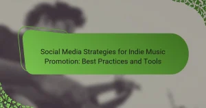 Social Media Strategies for Indie Music Promotion: Best Practices and Tools