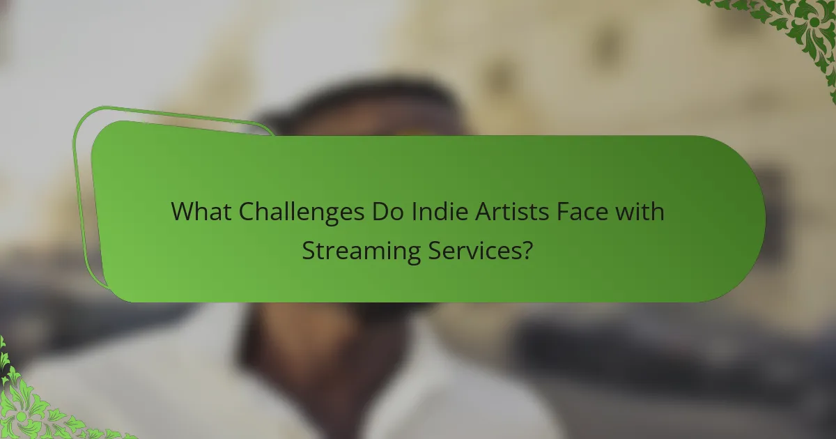What Challenges Do Indie Artists Face with Streaming Services?