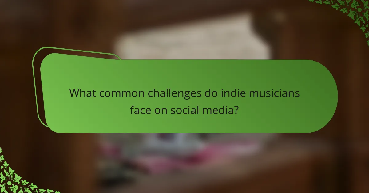 What common challenges do indie musicians face on social media?