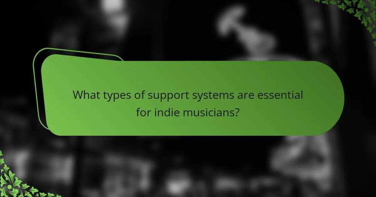 What types of support systems are essential for indie musicians?