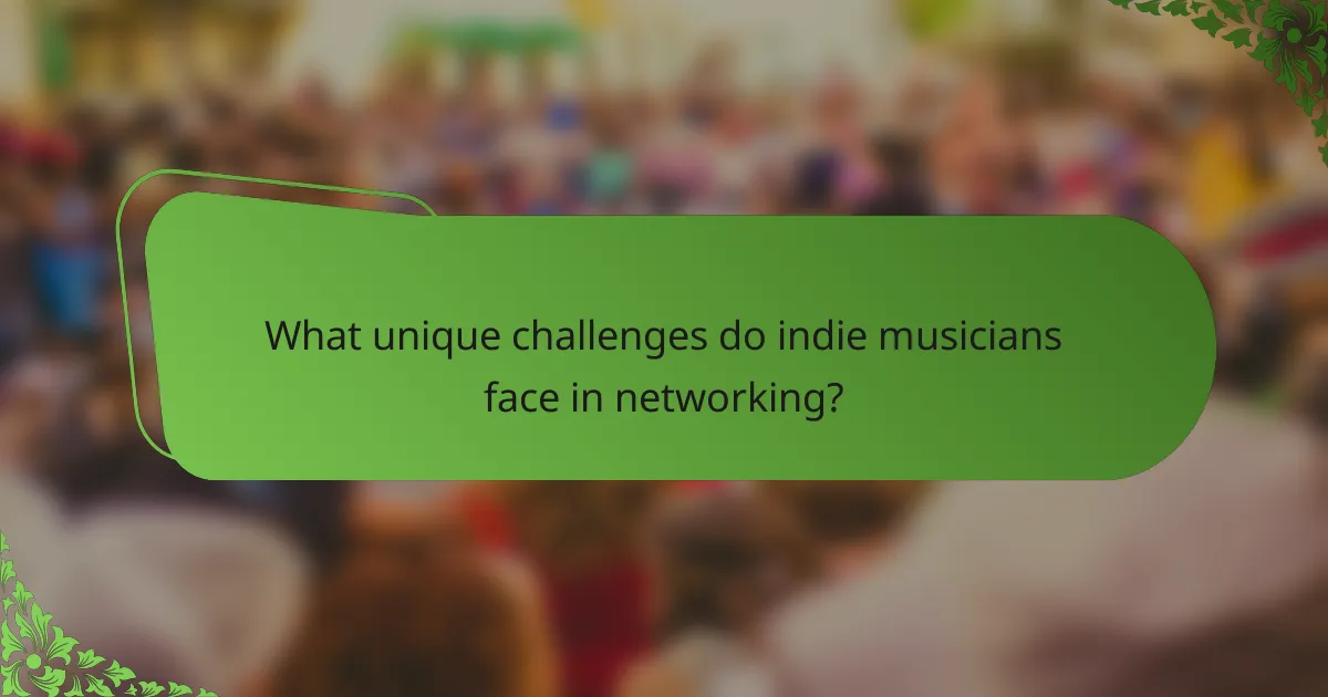 What unique challenges do indie musicians face in networking?