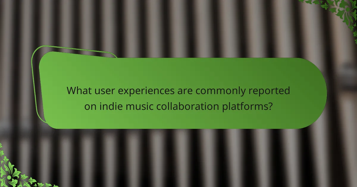 What user experiences are commonly reported on indie music collaboration platforms?