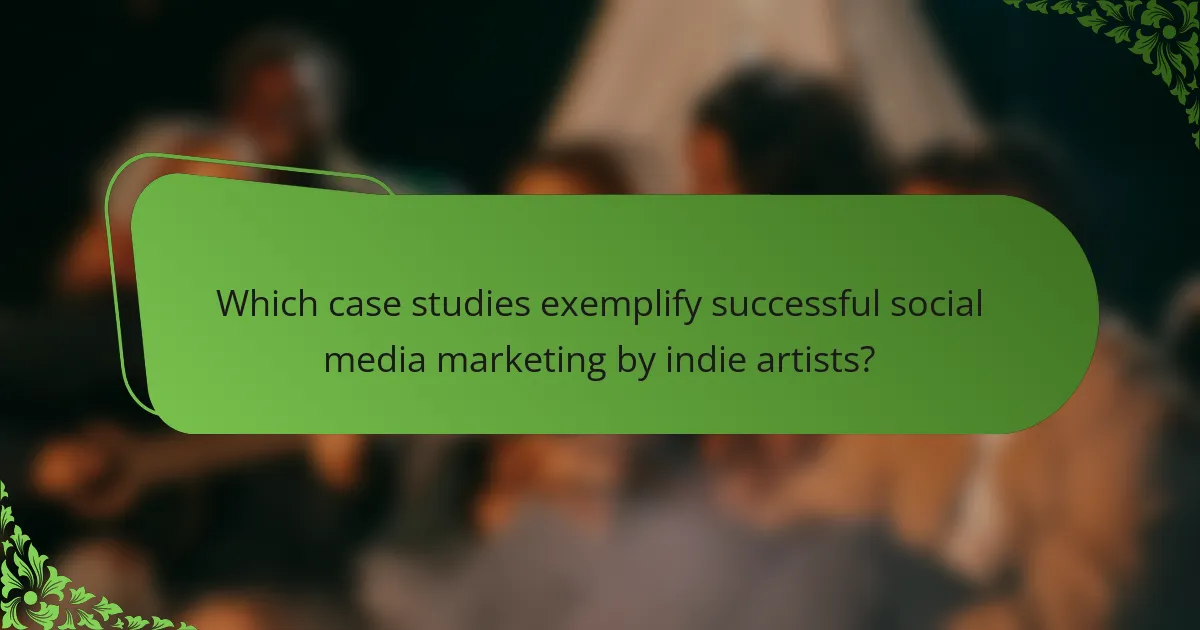 Which case studies exemplify successful social media marketing by indie artists?